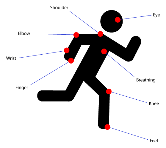 areas-of-body-where-energy-can-be-harvested